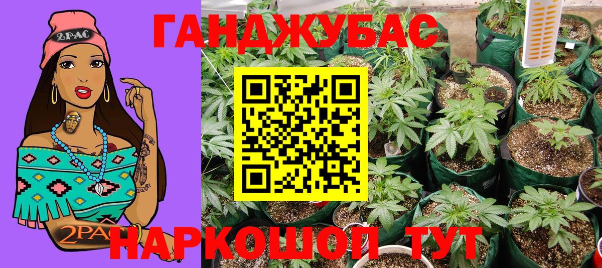 Бошки марихуана Ganja Добрянка